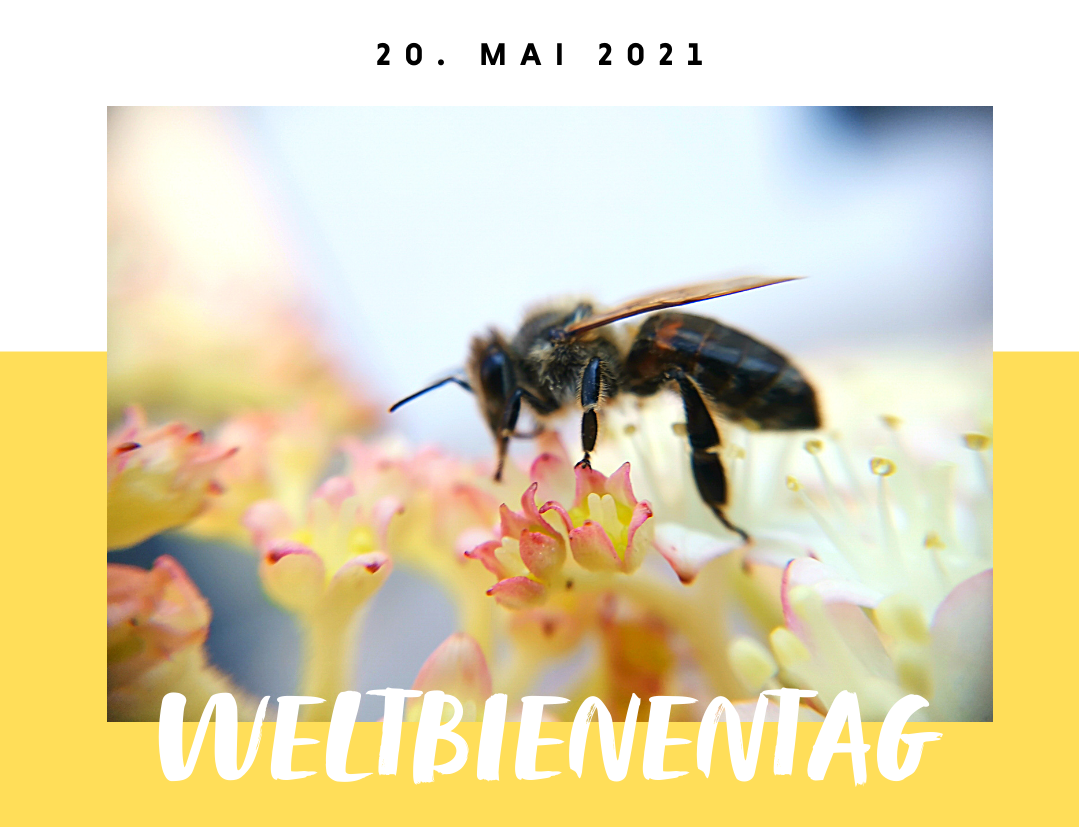 Weltbienentag